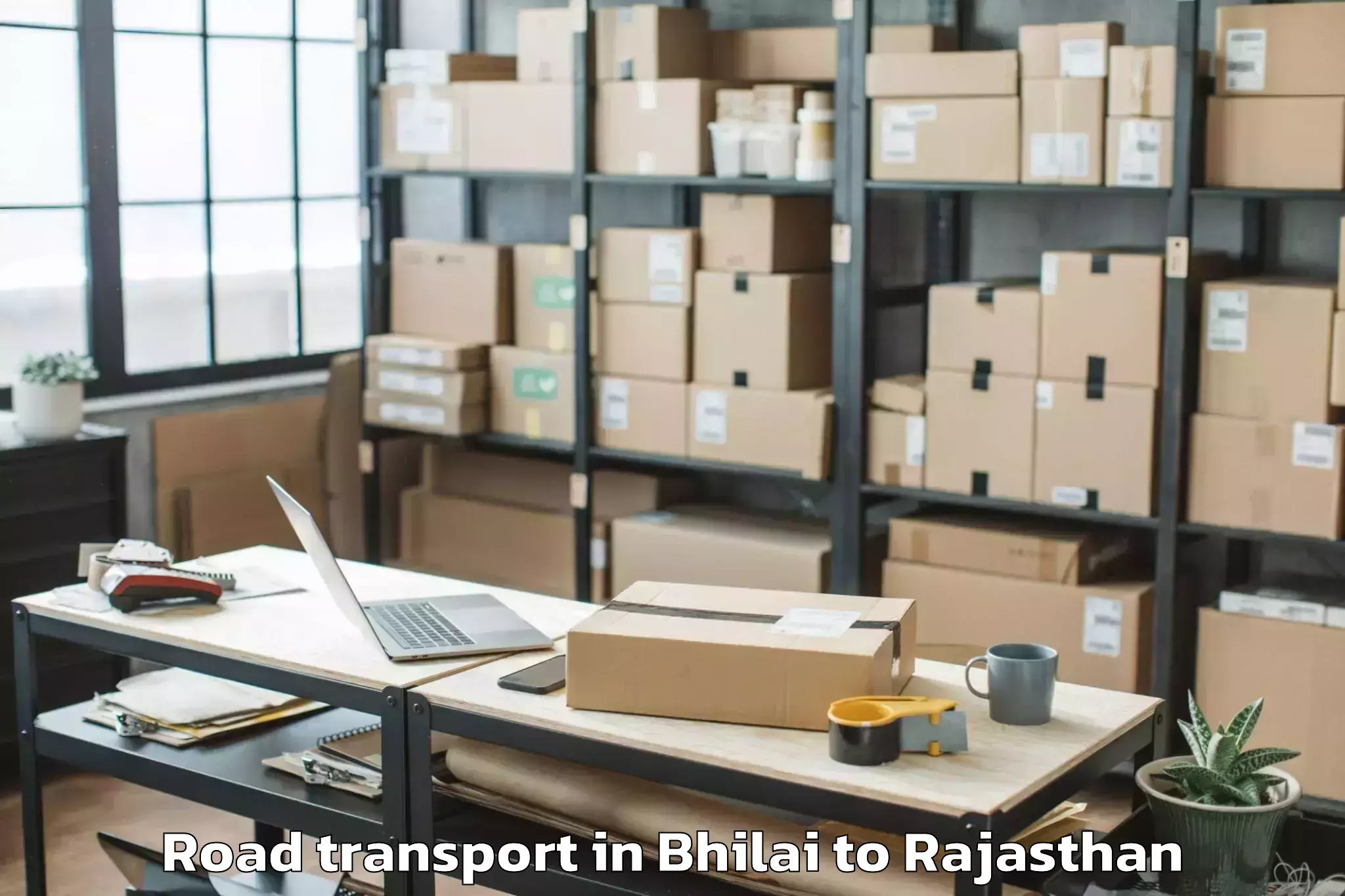 Comprehensive Bhilai to Udaipur Airport Udr Road Transport